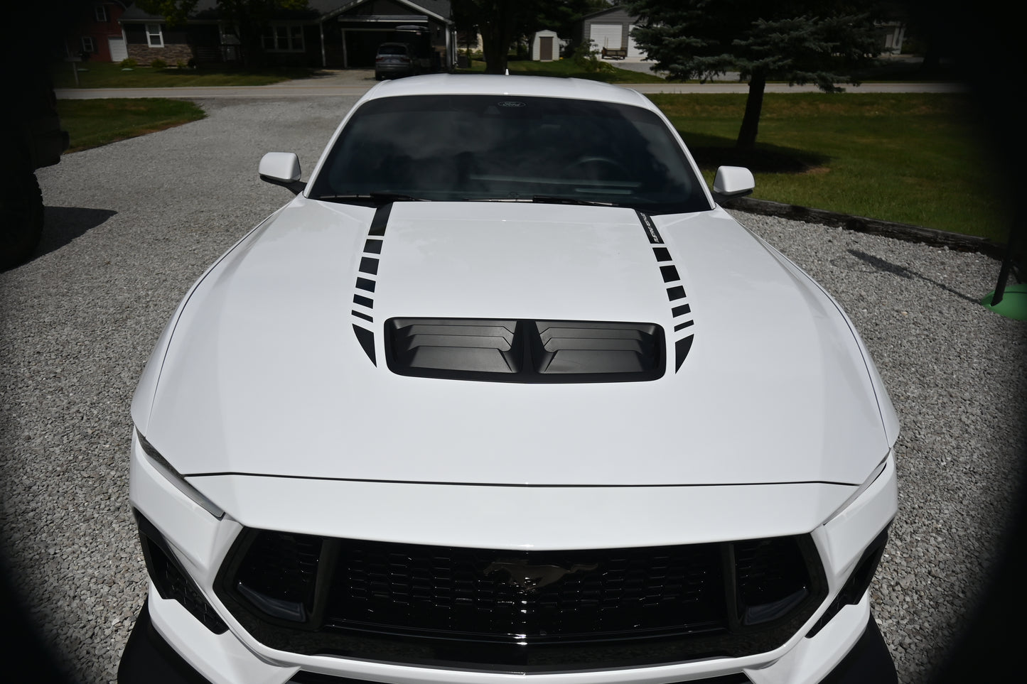 Hood Accent Stripes - Hash Style Negative Direction - 2024+ Mustang GT / Dark Horse / Ecoboost S650