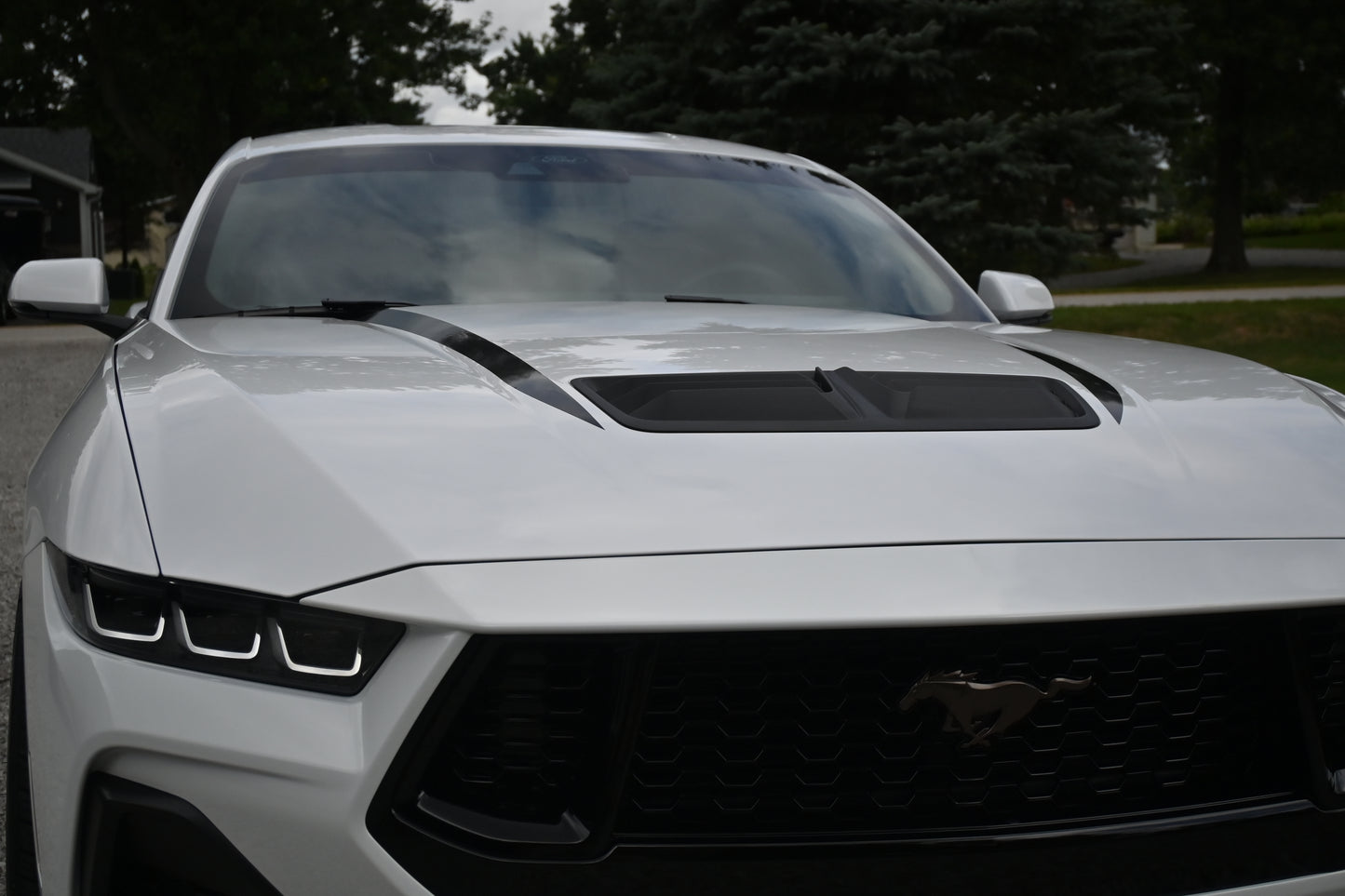 Hood Accent Stripes - Solid Style - 2024+ Mustang GT / Dark Horse / Ecoboost S650
