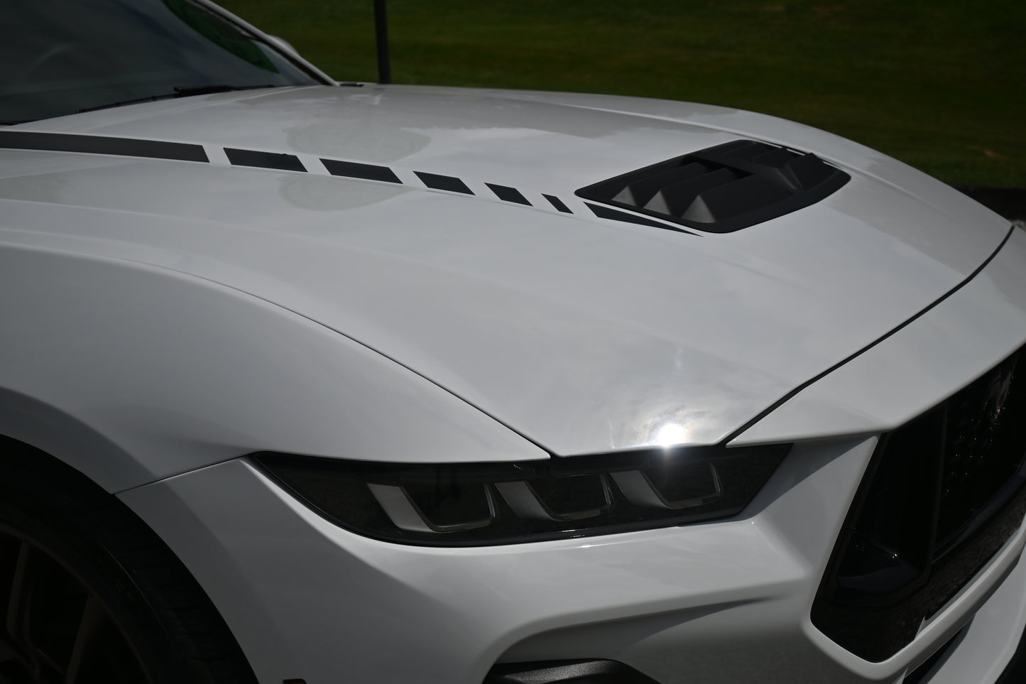 Hood Accent Stripes - Hash Style Positive Direction - 2024+ Mustang GT / Dark Horse S650